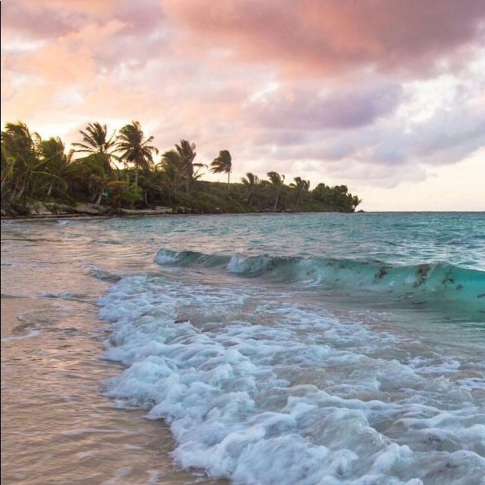 Meet your Posher, Roxana